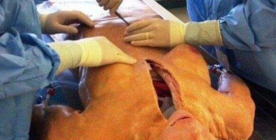 香港大学灵异事件，新生在解剖室被鬼上身啃食尸体