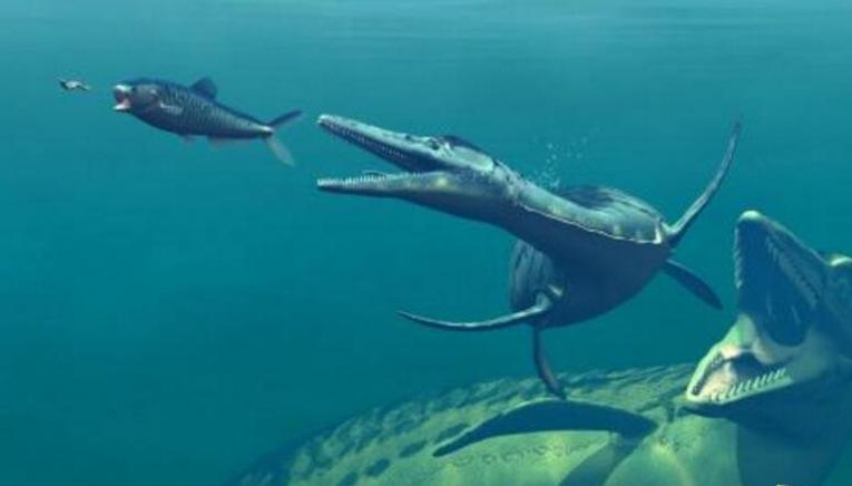 比航母还大的史前巨兽，新西兰大鱼龙!