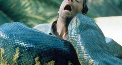 世界上最大的蛇的图片，据说能掀翻一船人（视频）