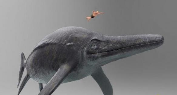 史前最大的动物第一名，新西兰大鱼龙(体长38米重311吨)