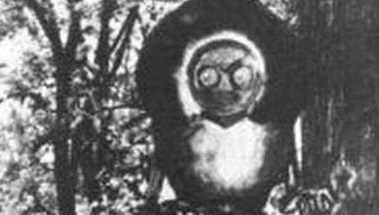 1952年弗拉特伍兹怪物是什么，浑身毒气能致死(外星人火球中走出)