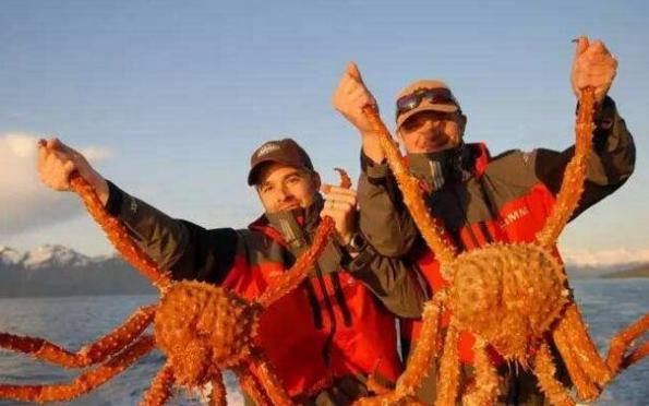 世界上最危险的职业，阿拉斯加捕蟹人5天赚70万/死亡超50倍