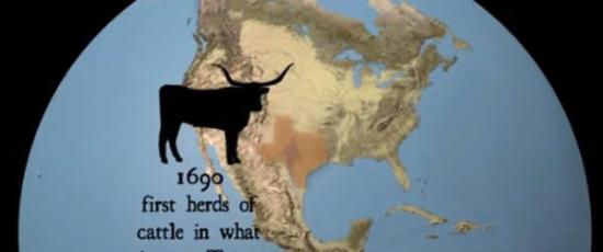 新大陆牛是已灭绝品种经过多次驯化的后代