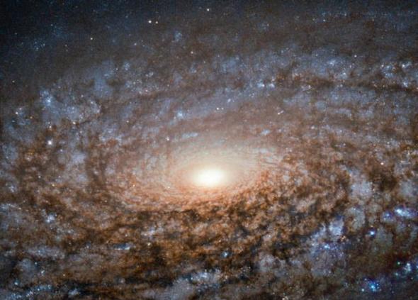 哈勃望远镜拍摄到的绒毛状NGC 3521螺旋星系