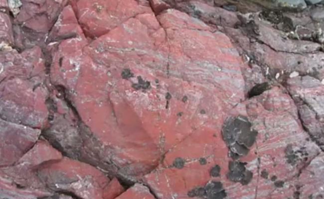 印度中部地区瓜廖尔盆地沉积物中发现20亿年前地球原核生物化石