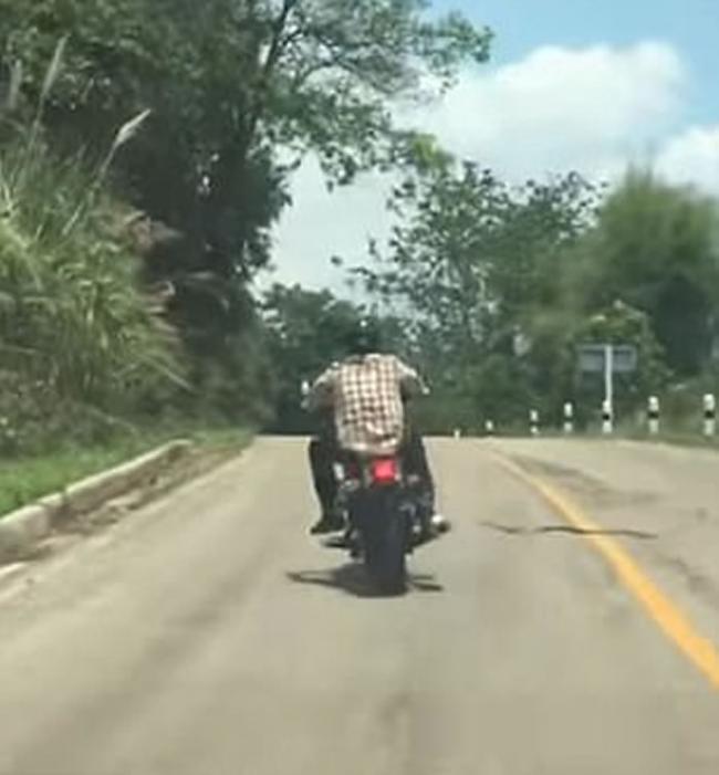 泰国摩托车山路行驶期间遇长蛇突袭 司机轻轻抬腿避开攻击