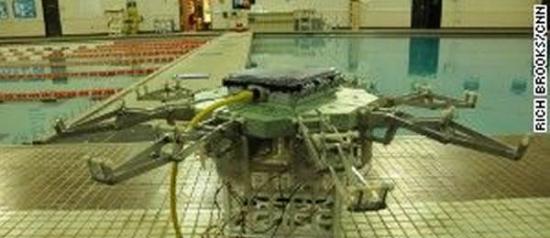美国弗吉尼亚理工大学工程学院研制的机器水母“Cyro”，长5英尺(约合1.5米)，宽7英寸(约合18厘米)，重170磅(约合77公斤)，机械肢上覆盖着白色硅树脂