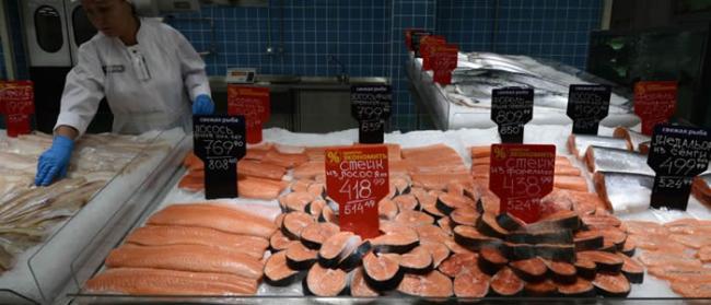 挪威科学家研究显示大西洋鲑是世界上毒性最强的食物