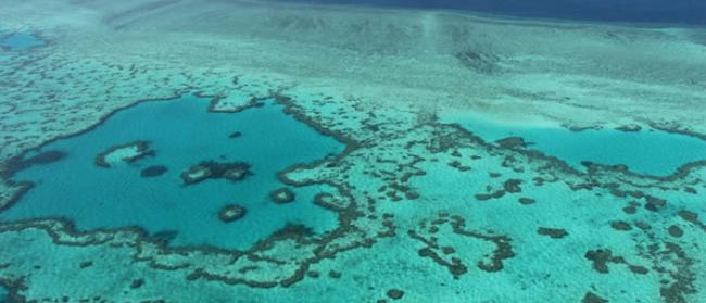 澳大利亚政府将拨款5亿美元保护大堡礁免受气候变化和污染影响