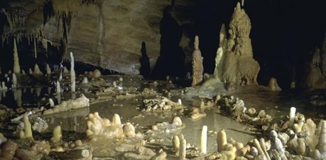 法国洞穴现17.6万年前建筑群 力证尼安德特人已懂得合作而居