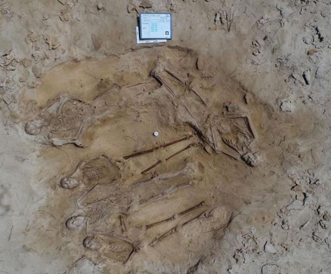 和其他巴达维亚号船难的遇难者不同，最新发现的多人冢呈现整齐的埋葬，没有暴力相关迹象。 PHOTOGRAPH COURTESY ALISTAIR PATERSON