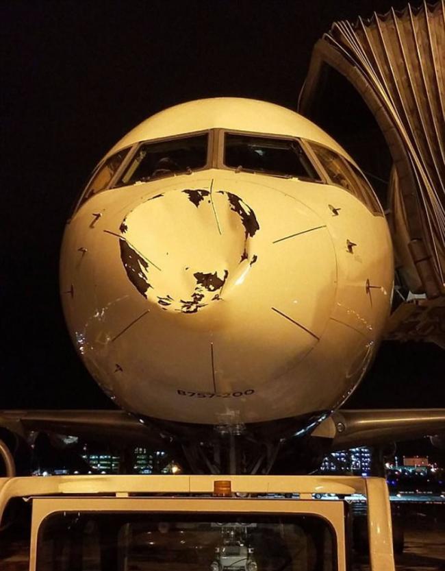 航空公司估计凹陷是由雀鸟撞击所致。
