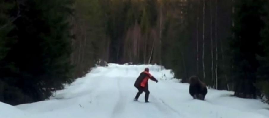 面对棕熊攻击：瑞典男子的逆袭