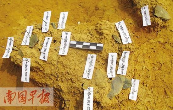 发掘现场里密集分布的石制品。
