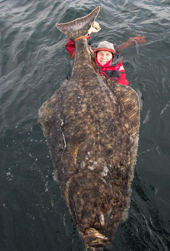 瑞典男子在挪威罗弗敦群岛钓鱼 捕获重达101公斤比目鱼
