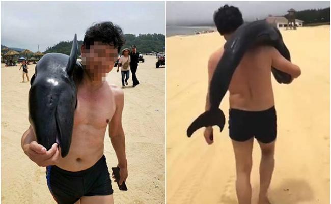 江西男子在广东阳江抬走伪虎鲸幼崽尸体被立案侦查