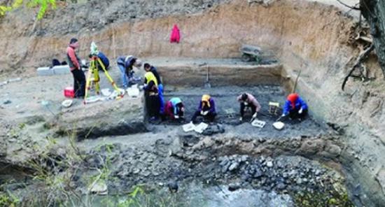 青岛大珠山旧石器时代遗址出土大量化石和石器