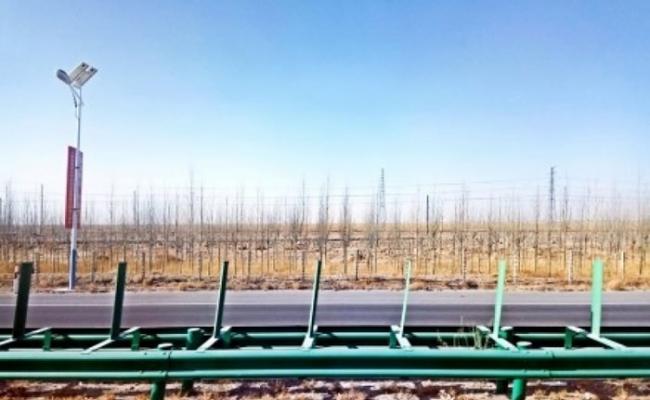 当局又在青藏铁路沿线建设绿色通道造林近27万亩。