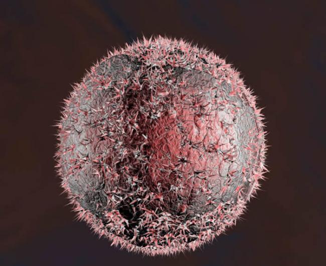 《贝尔斯坦纳米技术杂志》：学者制造出抗癌抗菌的混合纳米粒