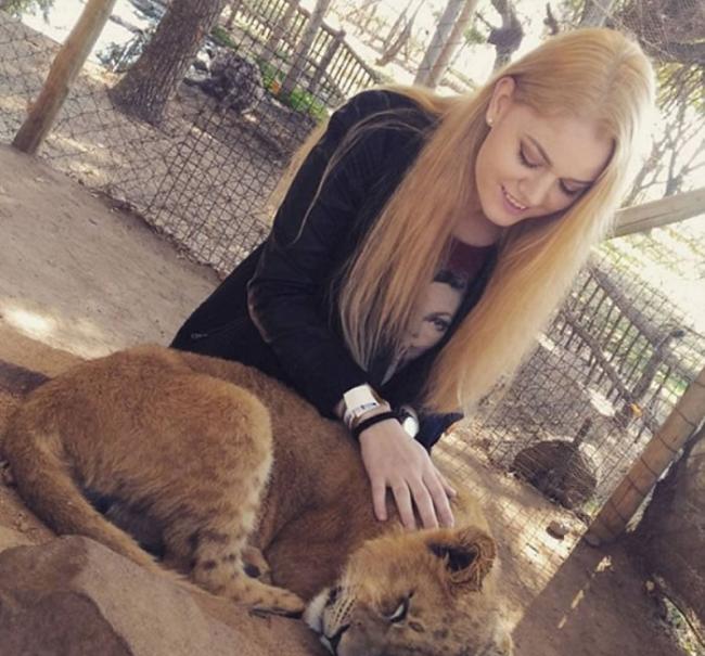 游客只需付小量金钱便可触摸幼狮。