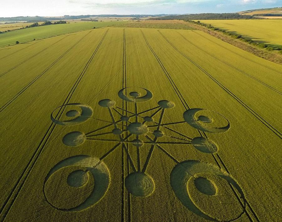 英国多塞特郡农田中惊现2014年首个麦田怪圈