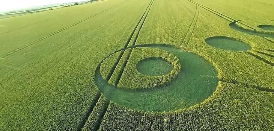 英国多塞特郡农田中惊现2014年首个麦田怪圈