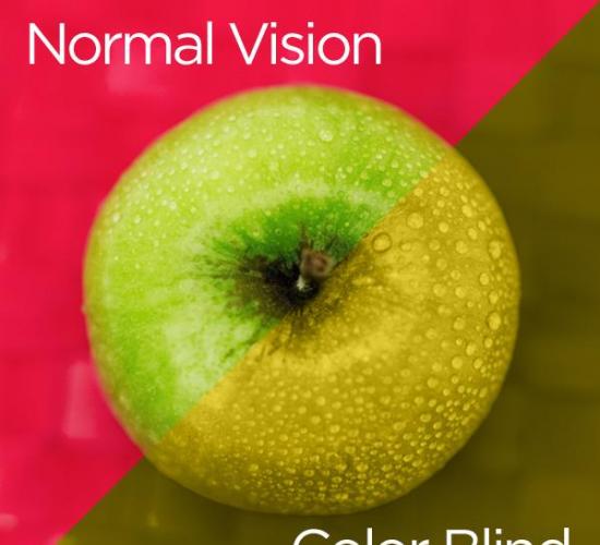 这项研究或许可以让色盲症患者再次感受到失去的色彩