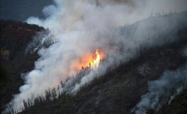 气候暖化使干旱地区更易发生山火。