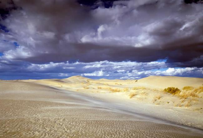 内布拉斯加的沙丘看来荒绝孤立，但其实却是「野生动植物的生命泉源。」《足下大地》的作者保罗．波嘉德如是说。 PHOTOGRAPH BY CAROL M. HIGH