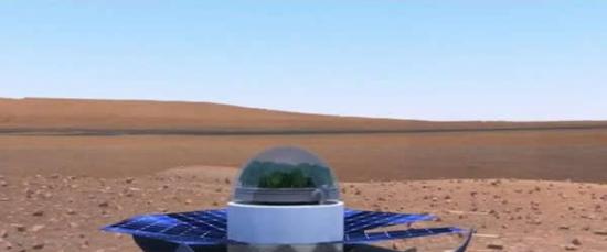 美国宇航局的第二代好奇号漫游车将搭载大量种子登陆火星