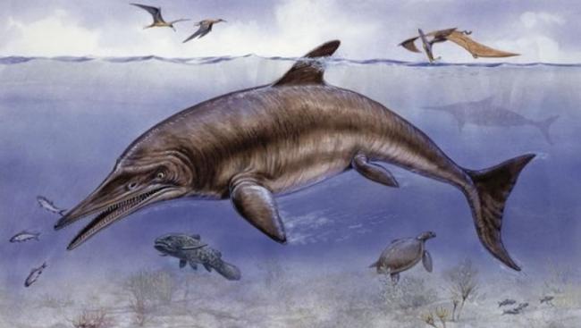 “鱼龙”是史前生物。