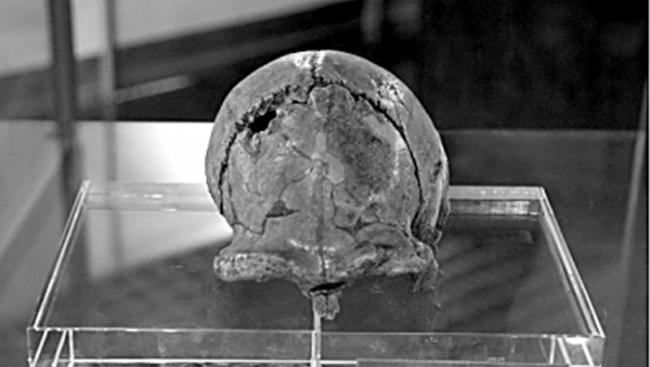 胡承志制作的“北京人”头盖骨化石模型（中国地质博物馆藏）