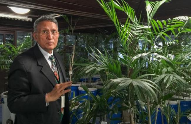 帕哈普尔商务中心（Paharpur Business Centre）执行长卡玛．麦铎（Kamal Meattle）在自己办公大楼的温室中种了四百株植物来净化室内