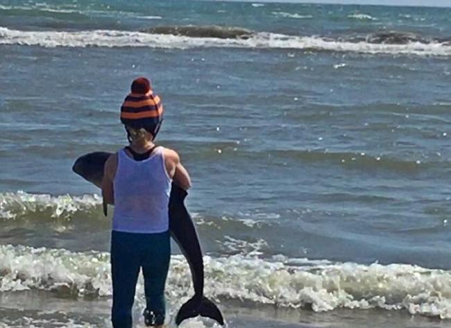 芬兰女子将海滩搁浅海豚宝宝抱起送回海中