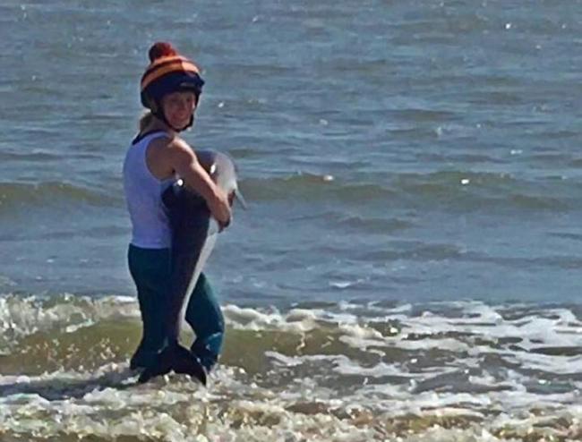 芬兰女子将海滩搁浅海豚宝宝抱起送回海中