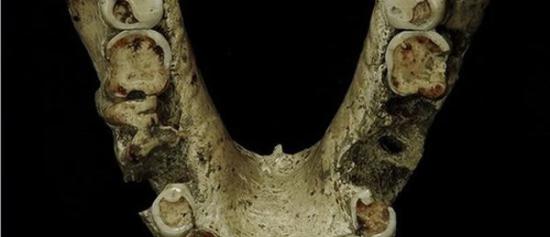 是发现于格鲁吉亚共和国德马尼斯遗址的原始人颌骨