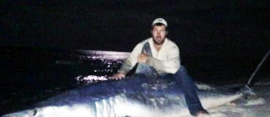 波尔克捕获破纪录的巨型灰鲭鲨