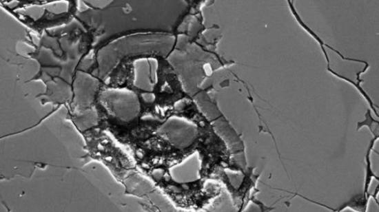 Nakhla火星陨石的扫面电镜图像，显示一个奇特的卵形结构。