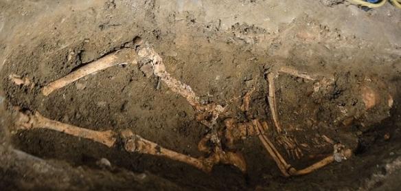 由于该墓内有其他骸骨，故未知该骸骨是不是盖拉尔迪尼。图为修道院内其中一幅骸骨。