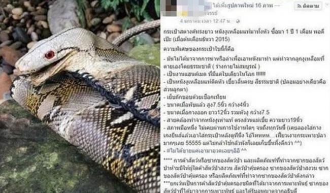 泰国女子自称拥有全世界独一无二的带蛇头真皮包包