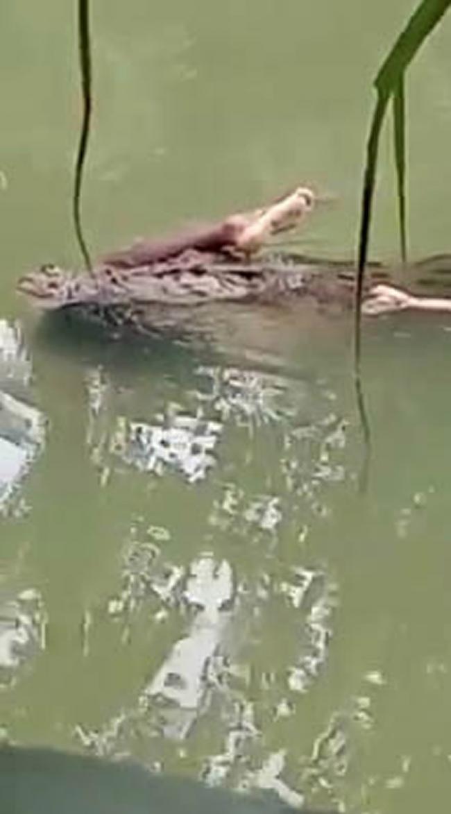 印尼苏拉威西岛东南部马拉格河鳄鱼咬着人腿浮出水面 遗体救出竟完好