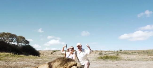 情侣在南非与猎杀狮子合照 背后另一只狮子冲过来