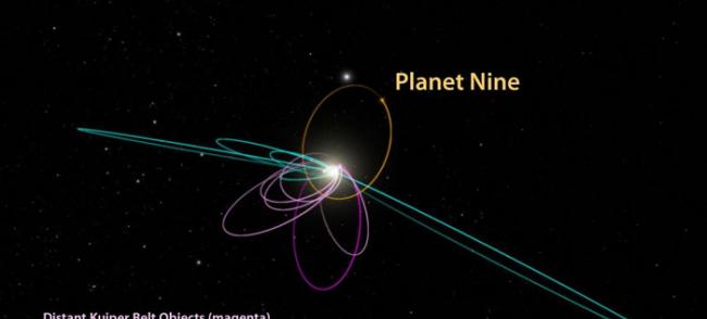 科学家表示，第9行星不仅解释了极端柯伊伯带天体（紫色）的轨道，还解开了5个轨道与太阳系平盘垂直的天体（蓝色）背后的谜。 COURTESY OF CALIFORN