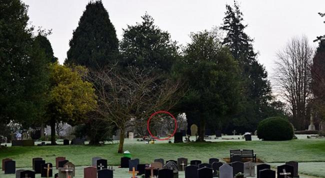 英国业余摄影师在一处公墓拍到鬼影潜伏于墓碑后