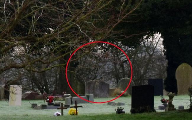 英国业余摄影师在一处公墓拍到鬼影潜伏于墓碑后