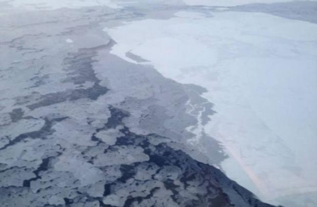 北极地区气温上升较其他地方快的现象，已成为新的常态。