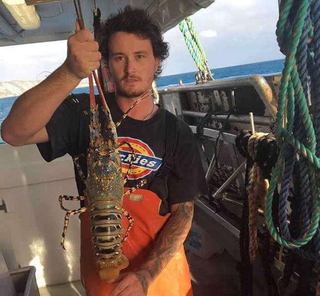 澳洲渔夫出海突然发现船下聚集了30只鲨鱼