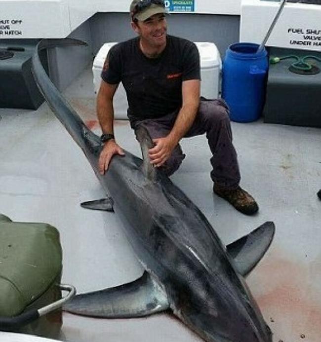 英国钓鱼发烧友意外钓得368磅重长尾鲨
