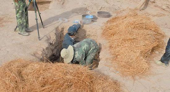 新疆吐鲁番胜金店古墓群出土两千多年前麦秆