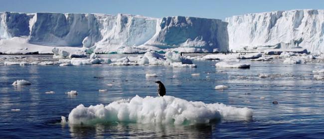南极洲东部海岸冰川群在最近10年来已经开始融化